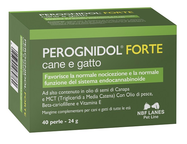 PEROGNIDOL Cane&Gatto FtePerle img 0